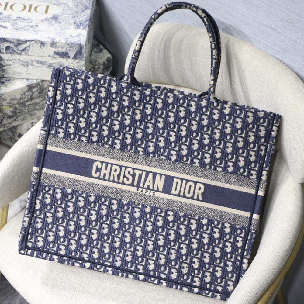 Dior Book Tote Blue